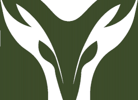 مرسال/ جامعة بيرزيت