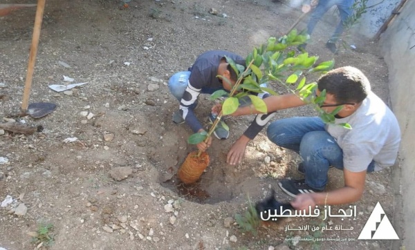 “Plant a Tree” Initiative