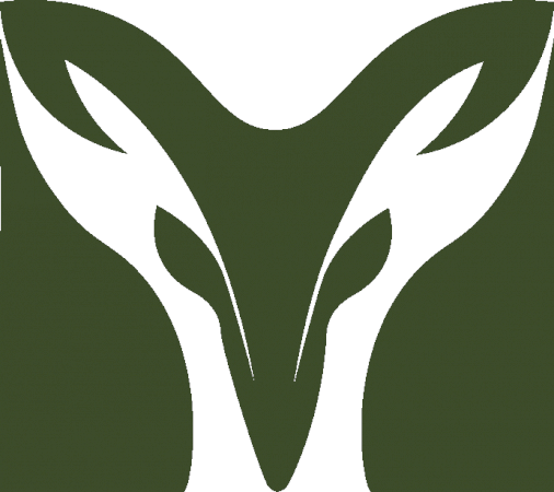 مرسال/ جامعة بيرزيت